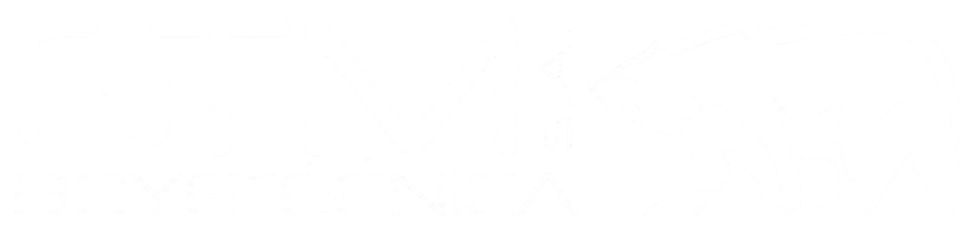 GTM Boyetécnica